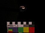 L_V19d1863 J1q471.4 Q926 dM f152 la.jpg L_V19d1863 J1q471.4 Q926 dM f152 la